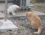 20050604102524.bmp