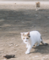 20050604102952.bmp